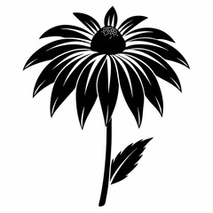 Coneflower Black silhouette