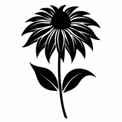 Coneflower Black silhouette