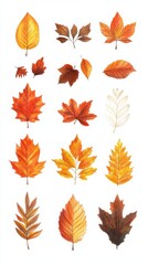 Obraz premium Colorful autumn leaves watercolor painting set on white background
