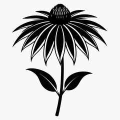 Coneflower Black silhouette