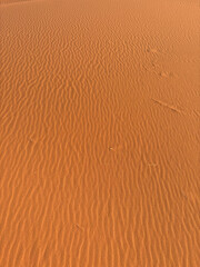 sand dunes in the desert
