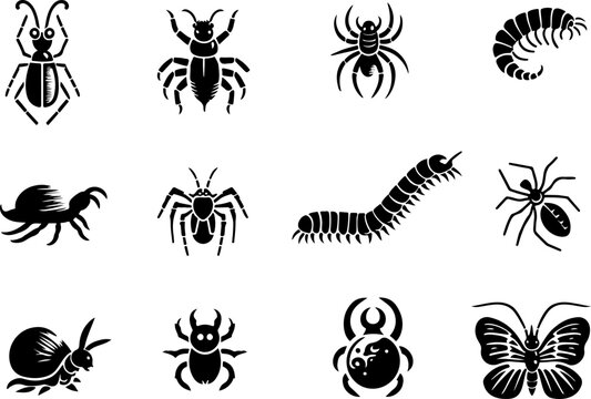 Insectes en silhouette, collection pour conceptino halloween a ajuster, noir isol&eacute; du fond blanc