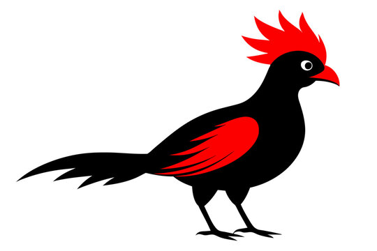recommend clip art:  Red crested turaco silhouette black color vector art illustration 