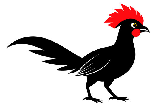 recommend clip art:  Red crested turaco silhouette black color vector art illustration 