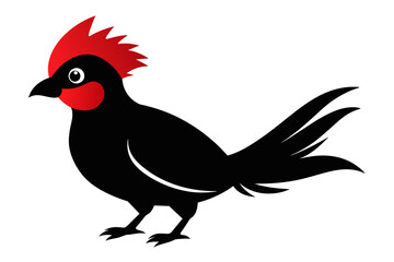  Red crested turaco silhouette black color vector art illustration 