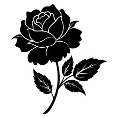 China Rose Black silhouette