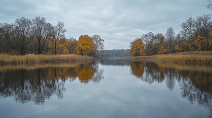Obraz premium Reflections of the river among the foliage and sky, golden autumn.