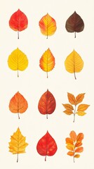 Watercolor painting showing colorful autumn leaves changing color