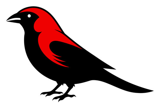 recommend clip art:  Red crossbill silhouette black color vector art illustration
