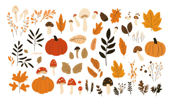 Hello autumn. Set of vector cute illustrations of mushrooms, leaves, pumpkin, animal, autumn set