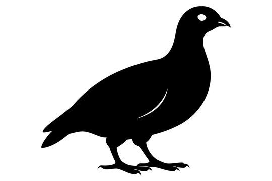 recommend clip art: Rock ptarmigan silhouette black color vector art illustration