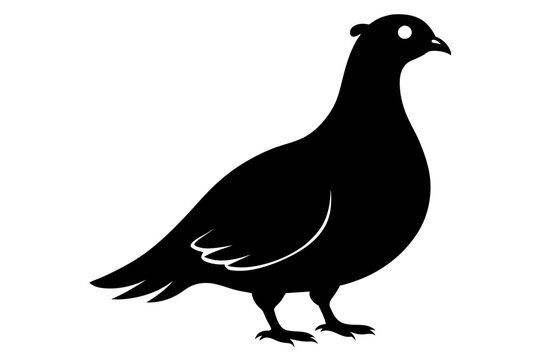 recommend clip art: Rock ptarmigan silhouette black color vector art illustration