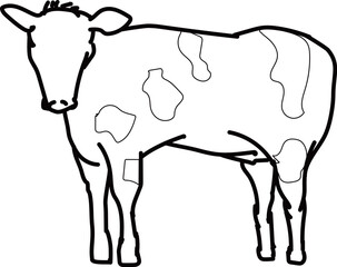 乳牛_線画