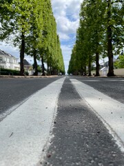 strips on a rich street in copenhagen