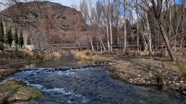 The river in the autumn park.
