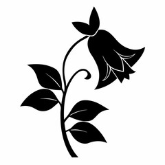 Bellflower Black silhouette