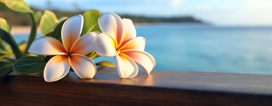 Beautiful plumeria flowers with ocean background, capturing the essence of tropical bliss and serene coastal living.