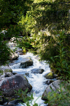 Slovakia tatra landscape waterfall moss rocks clean water green trees babbling brook in summer view