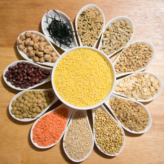Sample of different types of grains and vegetarian ingredients