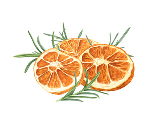 Dried citrus slices with rosemary twigs pile watercolor illustration. Orange pieces and green leaves heap for Christmas baking and hot warming drinks. Mulled wine or alcohol free drink.