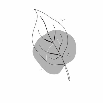 recommend clip art: Abstract boho poster with leaves flower and organic line art shape abstract illustration with leaf (10)
