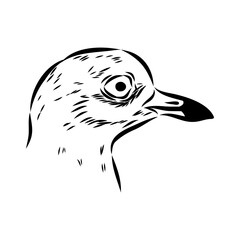 Vector card with hand drawn cute plover. Beautiful animal design elements, ink drawing