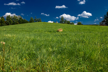 Green meadow in the mountains, hill covered with grass
