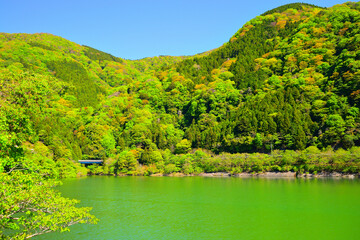 丹沢湖 神奈川県山北町の風景
