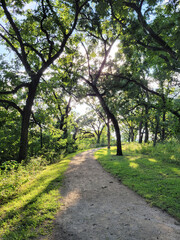 Fototapeta premium Walking Path