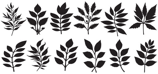 Set of Olive Branches Silhouette. Set of Leaves. Vector. Silhouette