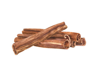 Cinnamon heap watercolor illustration. Natural organic dried plant sticks lying on top of each other. Raw ingredient seasoning from tree bark for medicine, food and aromatherapy.