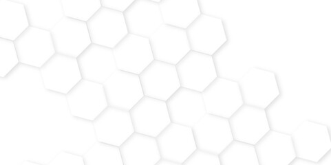 Abstract background with hexagon, modern abstract vector polygonal pattern. Futuristic honeycomb mosaic white background,white and gray hexagon honeycomb geometric copy space.