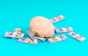 Human Brain on Money Stack on Blue Background