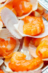 A tray of shrimp is covered in shell cups