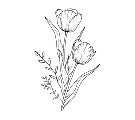 Tulip flower bouquet line art sketch. Floral outline hand drawn spring bouquet. Tulips black vintage linear bouquet vector illustration
