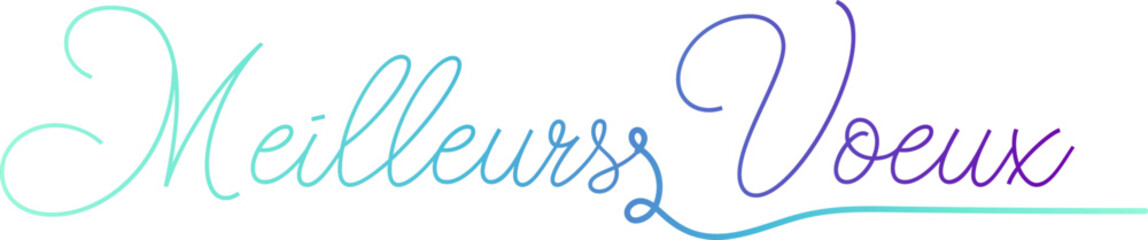 MEILLEURS VOEUX text, gradient text, text design