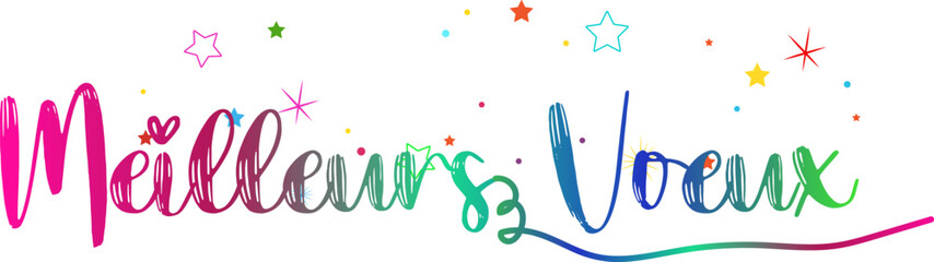 MEILLEURS VOEUX text, gradient text, text design