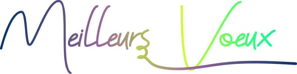 Obraz premium MEILLEURS VOEUX text, gradient text, text design