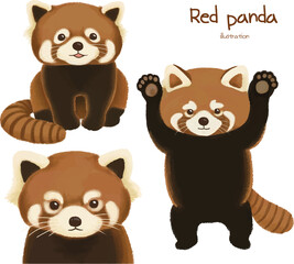 Cute adorable red panda hand drawn character illustration set