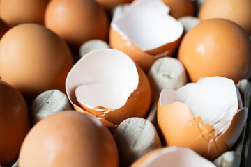 Eggshells and eggs in a paper tray close up
