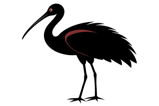 recommend clip art:  Roseate spoonbill silhouette black color vector art illustration 