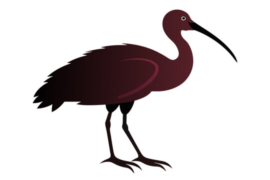 recommend clip art:  Roseate spoonbill silhouette black color vector art illustration 