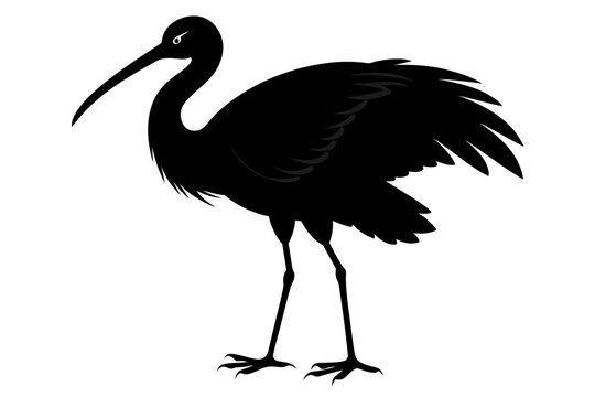 recommend clip art:  Roseate spoonbill silhouette black color vector art illustration 