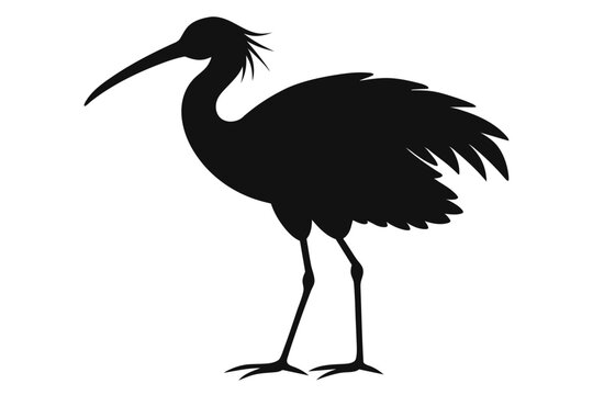 recommend clip art:  Roseate spoonbill silhouette black color vector art illustration 