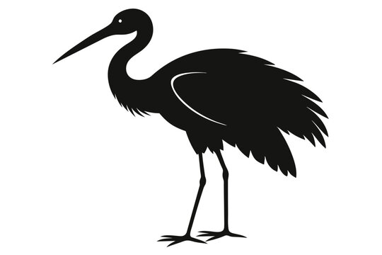 recommend clip art:  Roseate spoonbill silhouette black color vector art illustration 