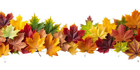 Various Autumn Leaves Border Isolated on White Transparent Background, PNG Element. Vibrant and varied fall foliage garland