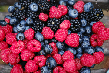 A glass plate full of summer berries on a wooden bench in the park. Fresh raspberries, blueberries and blueberries. A mix of healthy fruits.