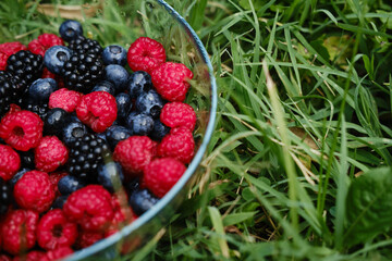A glass plate full of summer berries on green grass in the park. Fresh raspberries, blueberries and blueberries. A mix of healthy fruits.
