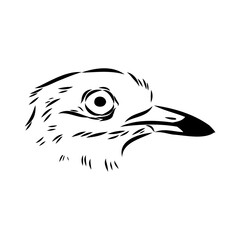 Vector card with hand drawn cute plover. Beautiful animal design elements, ink drawing