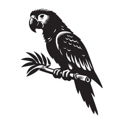 A parrot silhouette vector art illustration